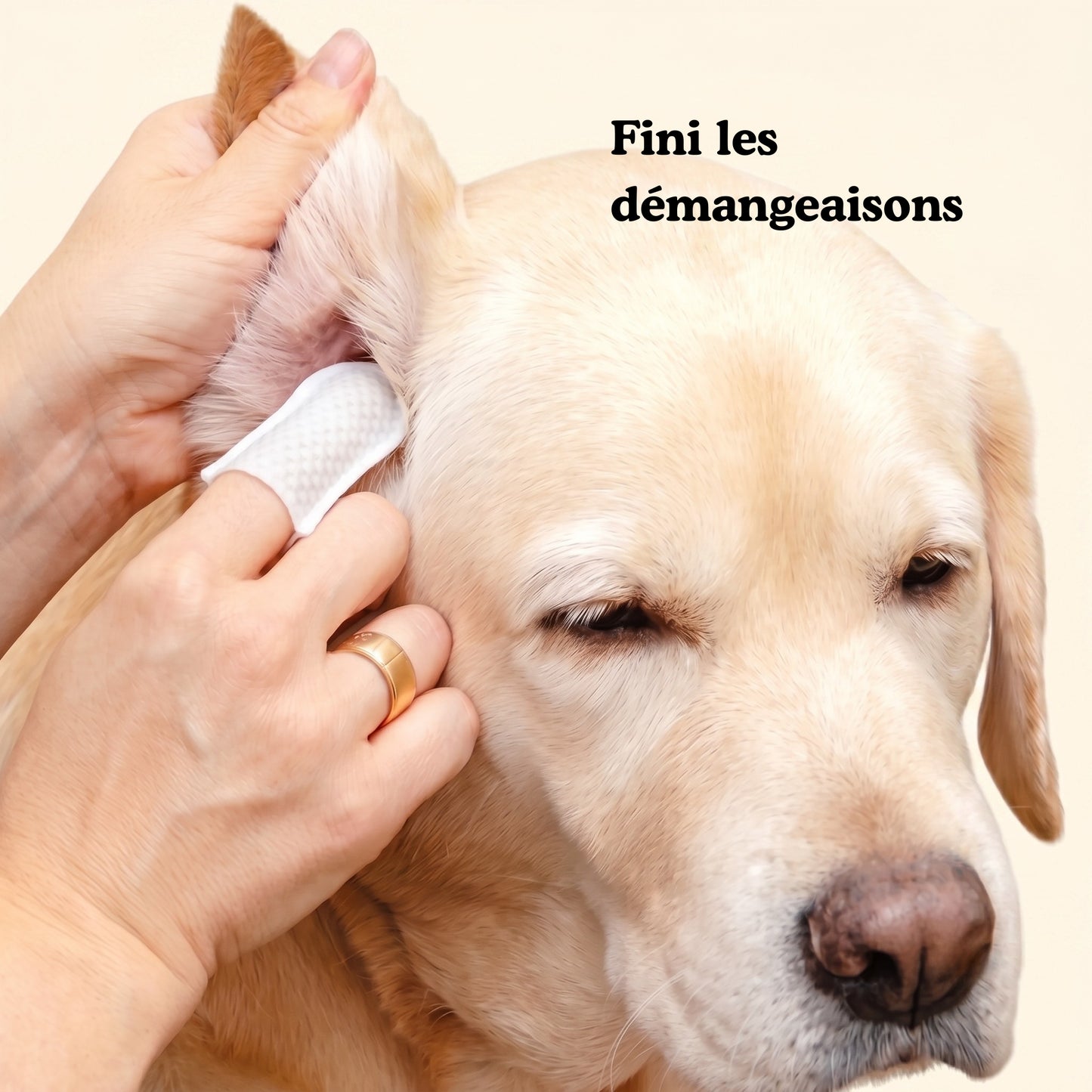 Pack Les Essentiels chien & chat