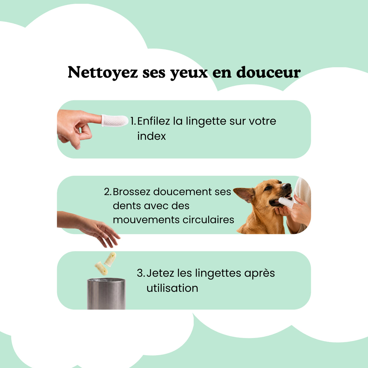 Morning Routine - Dents & Yeux pour chien & chat