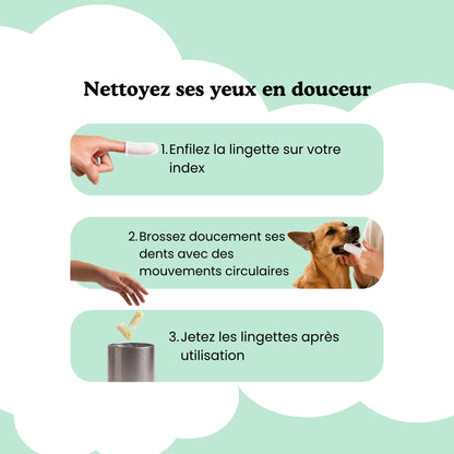 Morning Routine - Dents & Yeux pour chien & chat