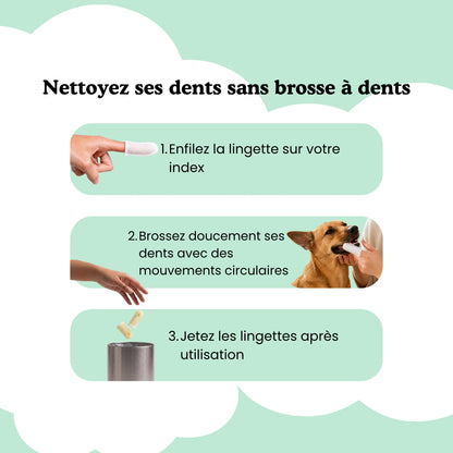 Lingettes dentaires pour chien & chat