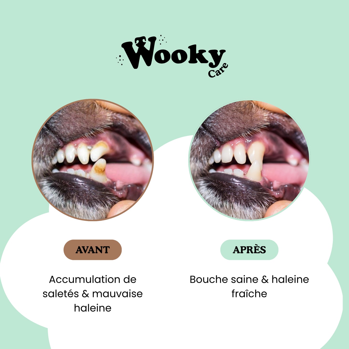 Lingettes dentaires pour chien & chat