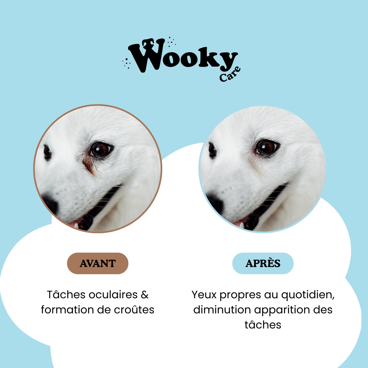 Lingettes yeux pour chien & chat
